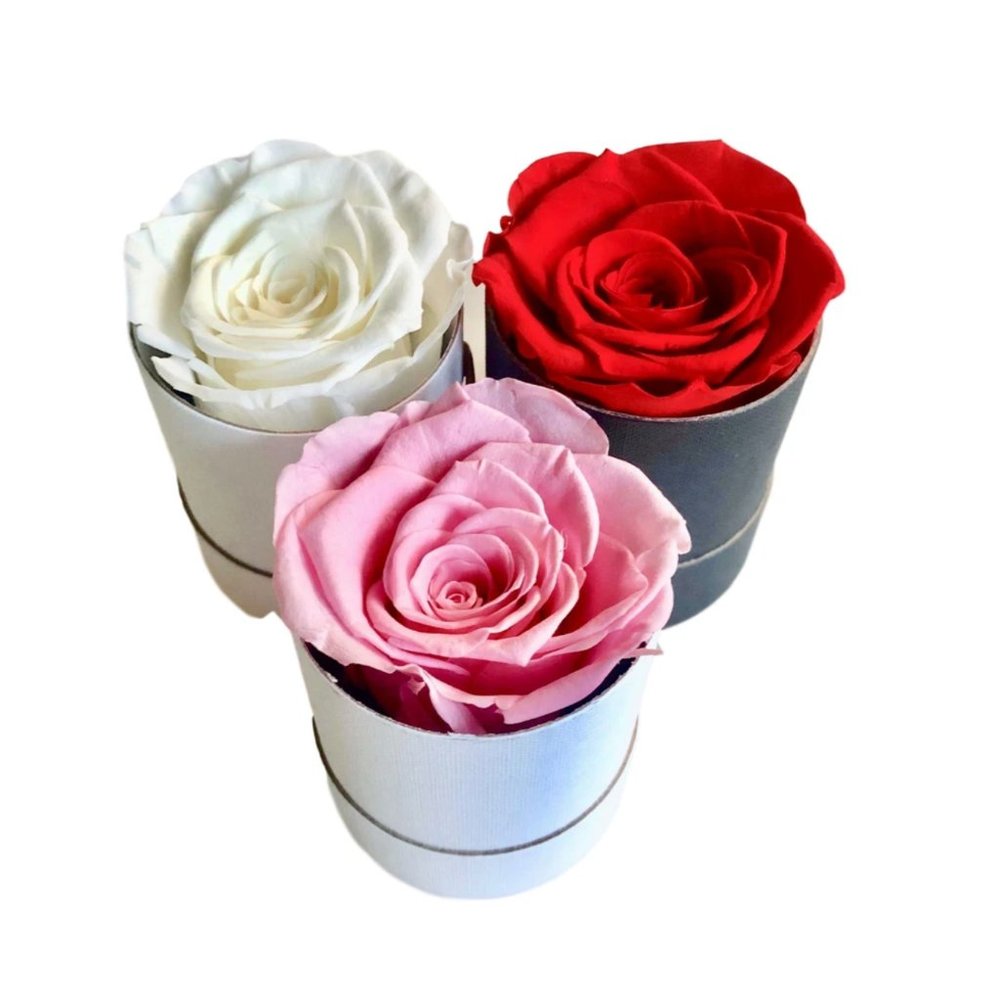 2 x Single Preserved Rose in Round Box - White